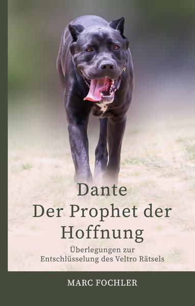 Dante Der Prophet der Hoffnung