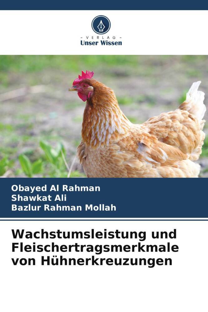 Wachstumsleistung und Fleischertragsmerkmale von Hühnerkreuzungen