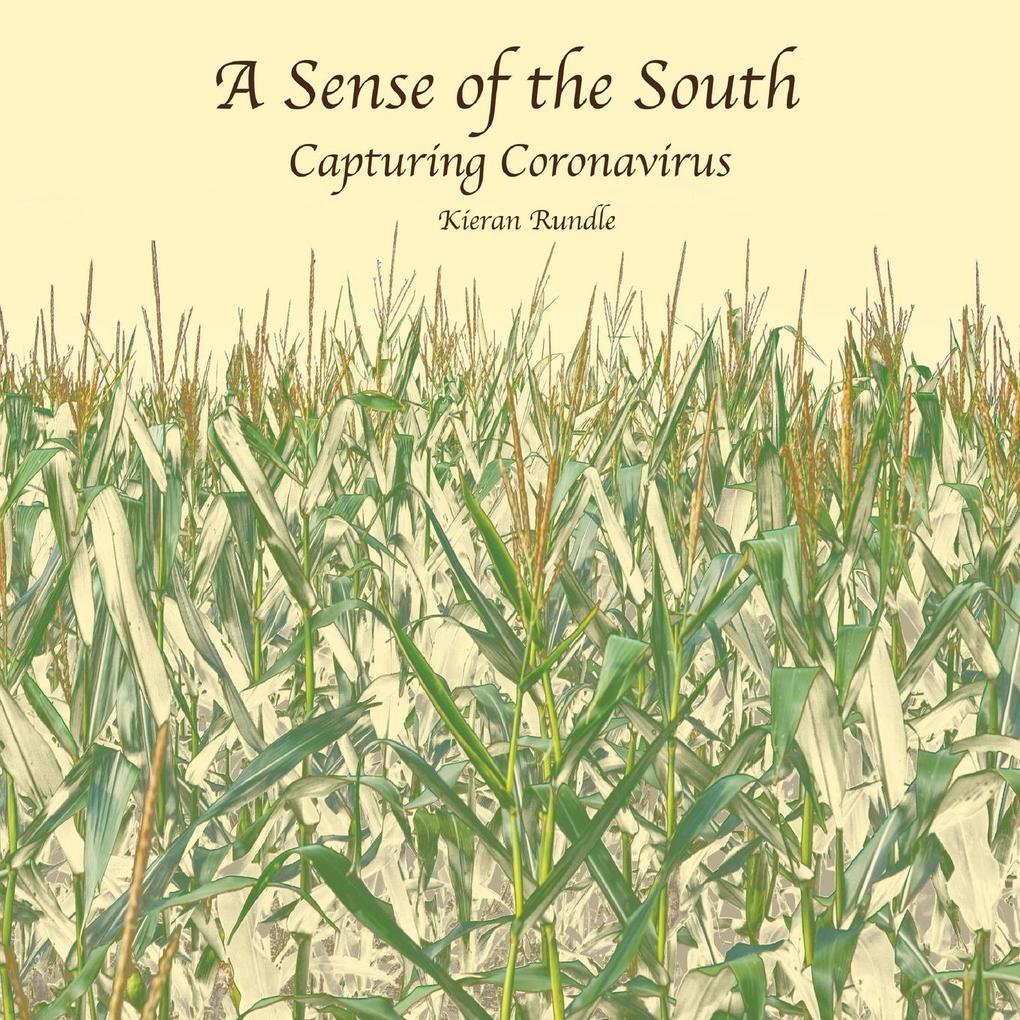 A Sense of the South