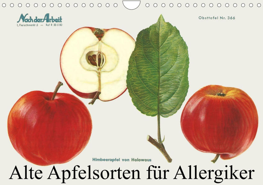 Alte Apfelsorten für Allergiker (Wandkalender 2023 DIN A4 quer) - Willi/ Willi 1948