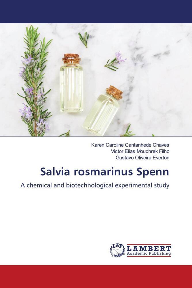 Salvia rosmarinus Spenn