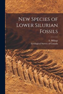 New Species of Lower Silurian Fossils [microform]