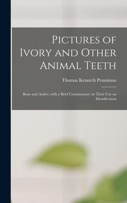 Pictures of Ivory and Other Animal Teeth: Bone and Antler; With a Brief Commentary on Their Use on Identification