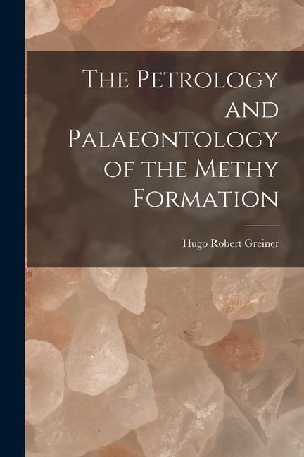The Petrology and Palaeontology of the Methy Formation