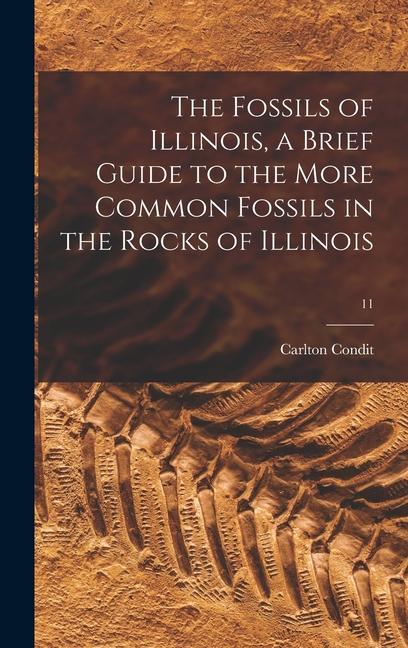 The Fossils of Illinois a Brief Guide to the More Common Fossils in the Rocks of Illinois; 11