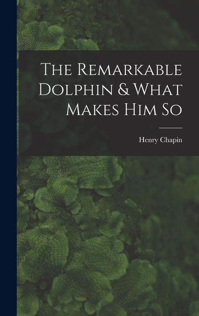The Remarkable Dolphin & What Makes Him So