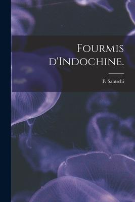 Fourmis D‘Indochine.