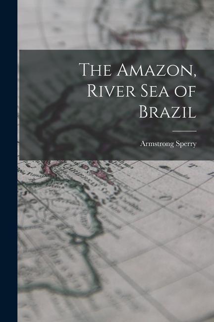 The Amazon River Sea of Brazil
