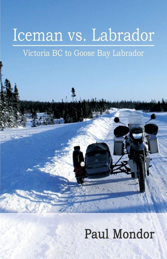 Iceman Vs. Labrador