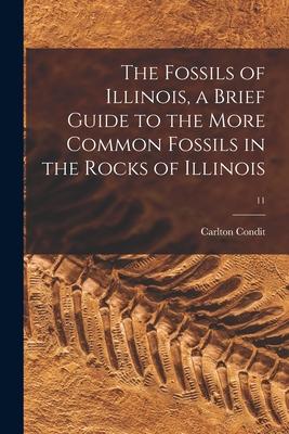The Fossils of Illinois a Brief Guide to the More Common Fossils in the Rocks of Illinois; 11