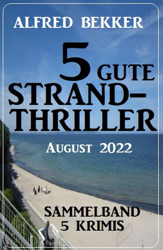 5 gute Strandthriller August 2022: Sammelband 5 Krimis
