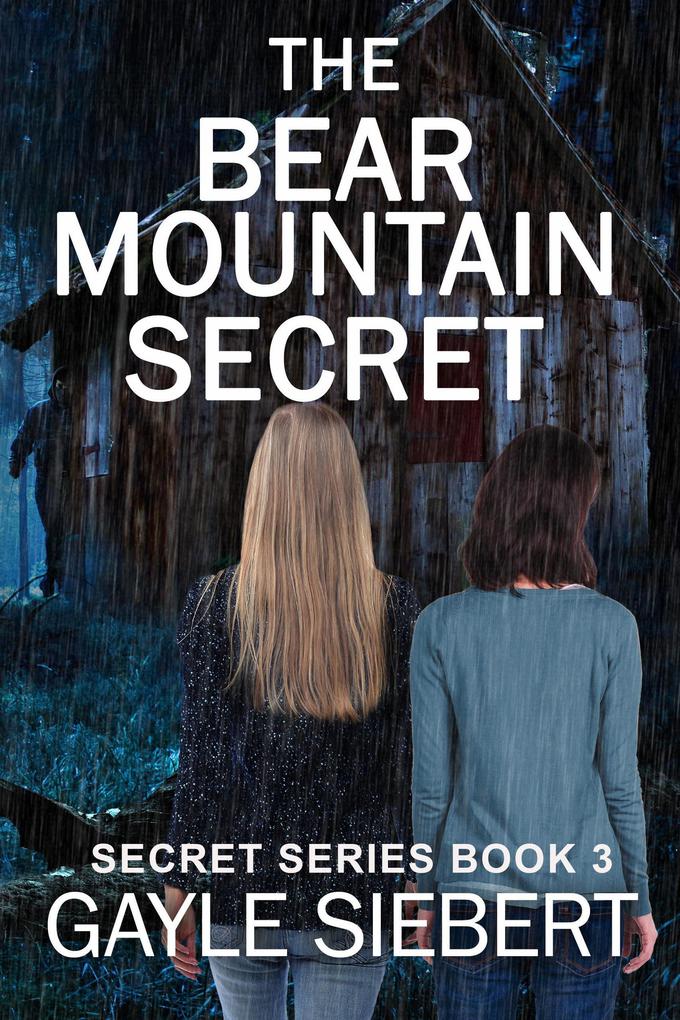 The Bear Mountain Secret (Secrets #3)