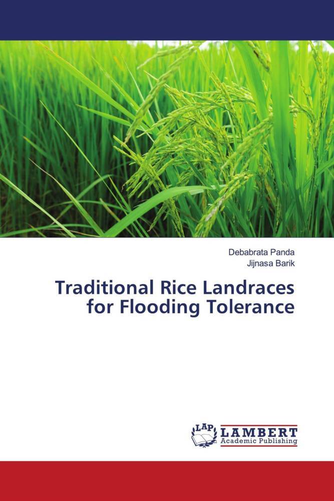Traditional Rice Landraces for Flooding Tolerance