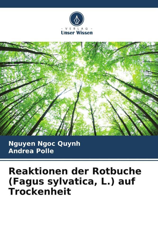 Reaktionen der Rotbuche (Fagus sylvatica L.) auf Trockenheit