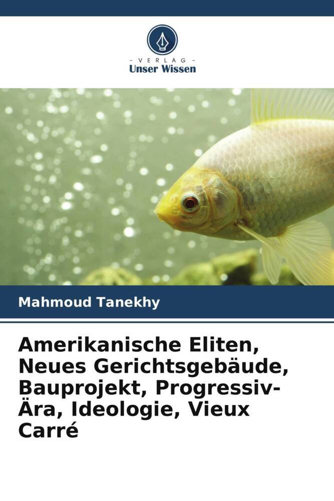 Amerikanische Eliten Neues Gerichtsgebäude Bauprojekt Progressiv-Ära Ideologie Vieux Carré