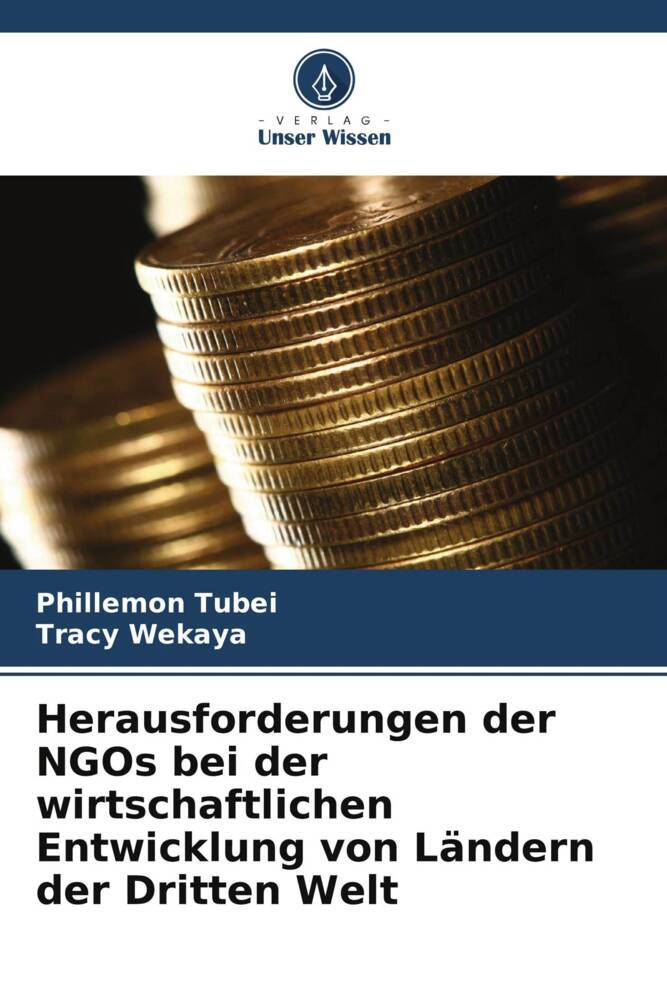 Herausforderungen der NGOs bei der wirtschaftlichen Entwicklung von Ländern der Dritten Welt