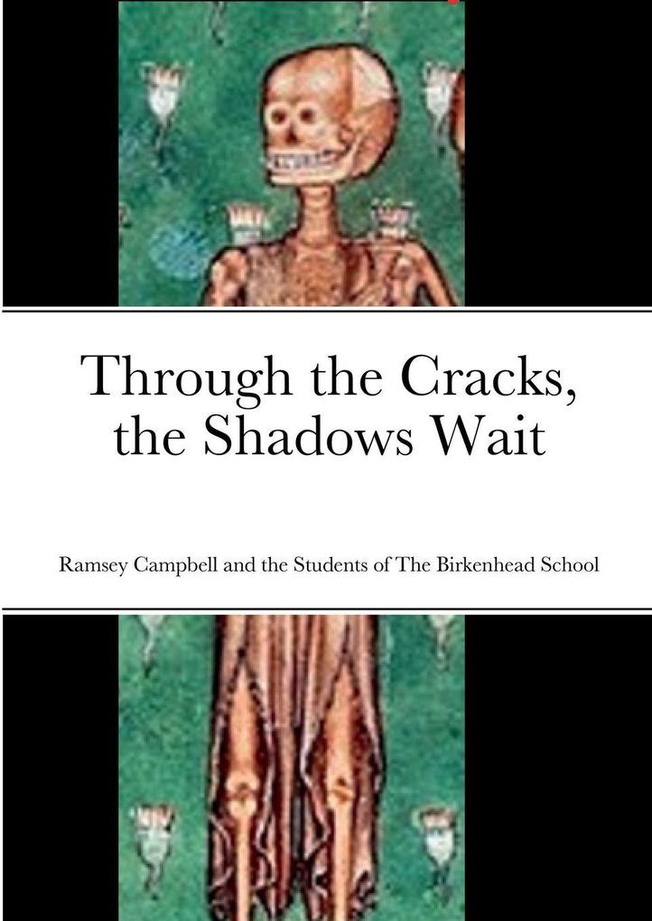 Through the Cracks the Shadows Wait