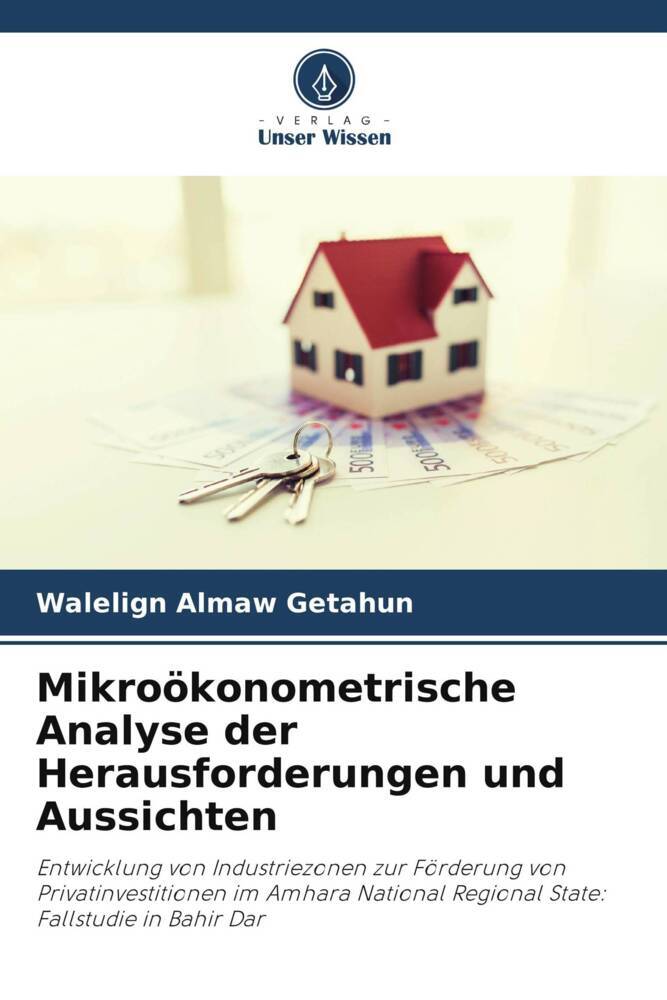Mikroökonometrische Analyse der Herausforderungen und Aussichten