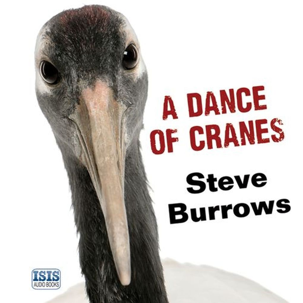 Dance of Cranes A