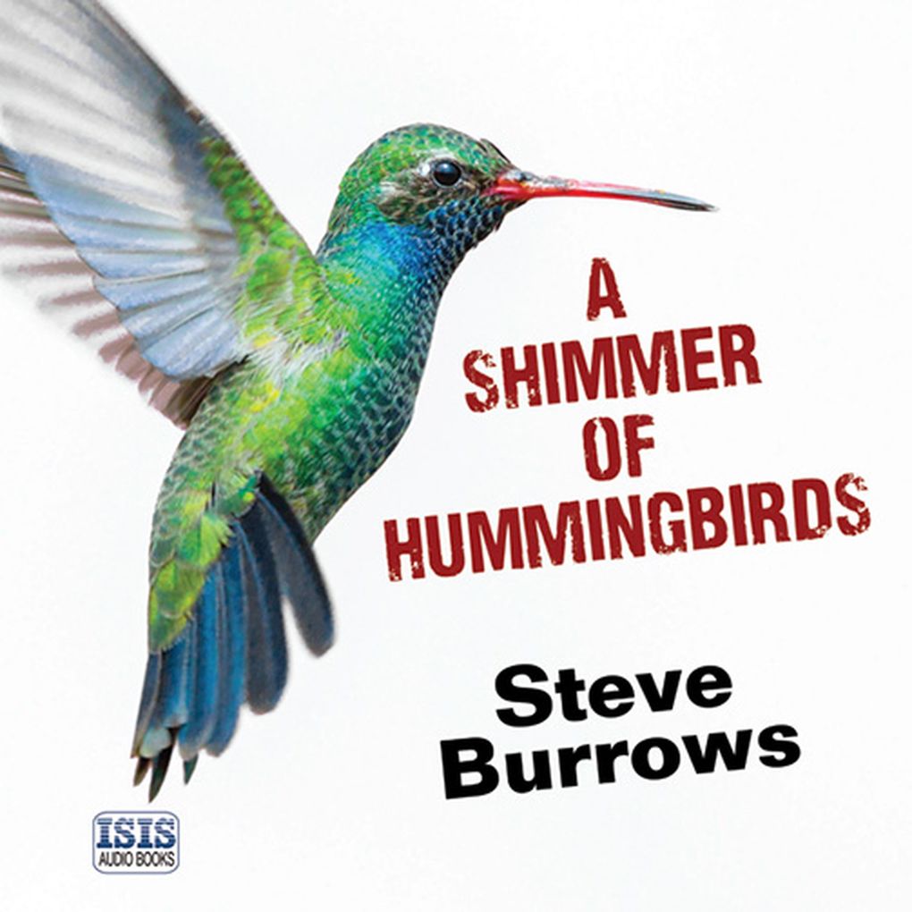Shimmer of Hummingbirds A