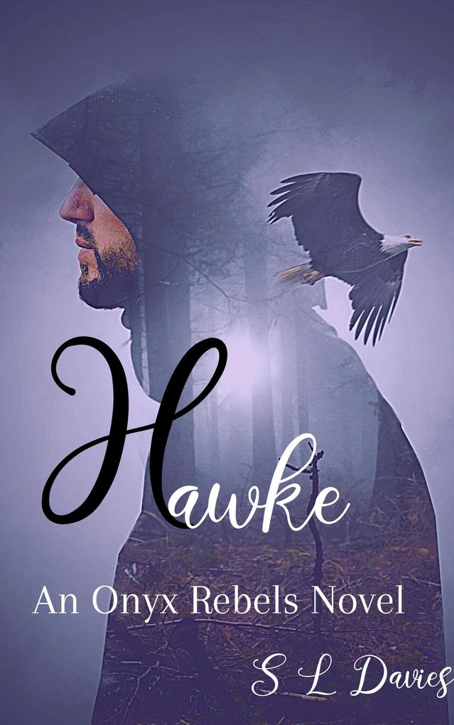 Hawke (Onyx Rebels #2)