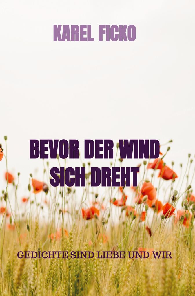 Image of BEVOR DER WIND SICH DREHT