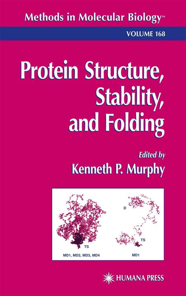 Protein Structure Stability and Folding