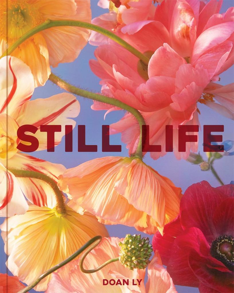 Chronicle Books Still Life