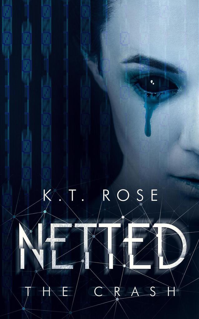 Netted Book 3: The Crash (Netted: A Dark Web Horror Series)
