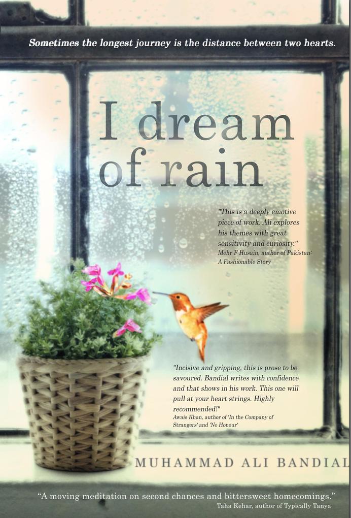 I Dream of Rain