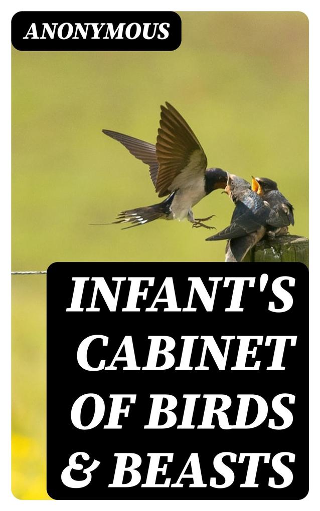 Infant‘s Cabinet of Birds & Beasts