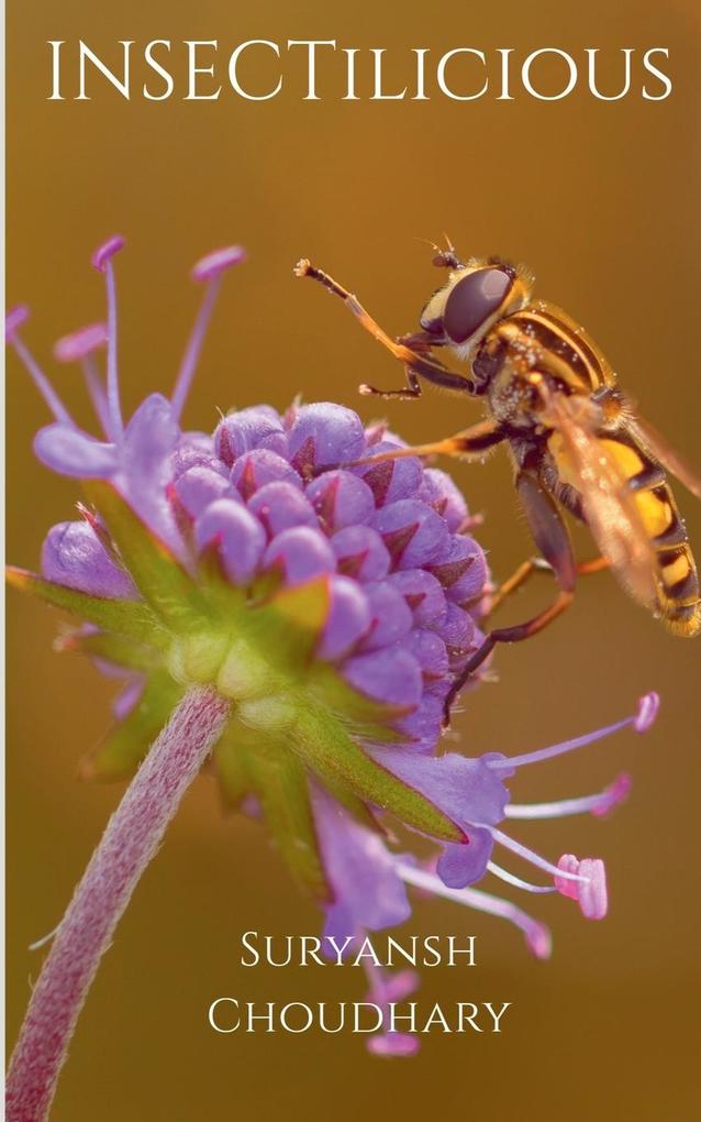 INSECTilicious