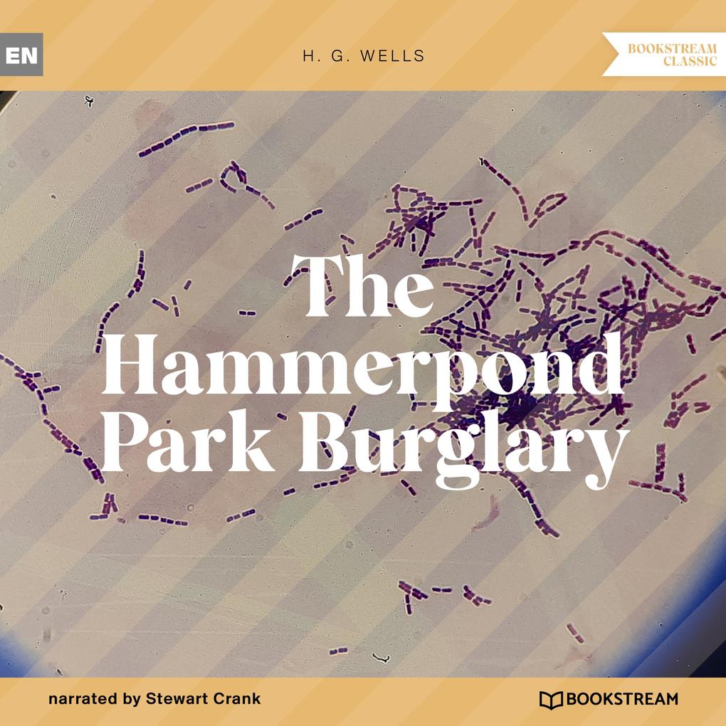 The Hammerpond Park Burglary