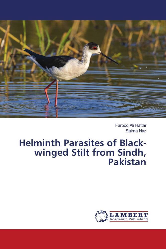 Helminth Parasites of Black-winged Stilt from Sindh Pakistan