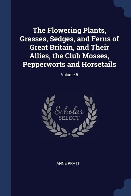 The Flowering Plants Grasses Sedges and Ferns of Great Britain and Their Allies the Club Mosses Pepperworts and Horsetails; Volume 6