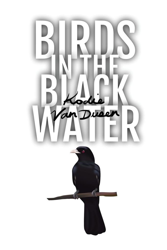 Birds in the Black Water