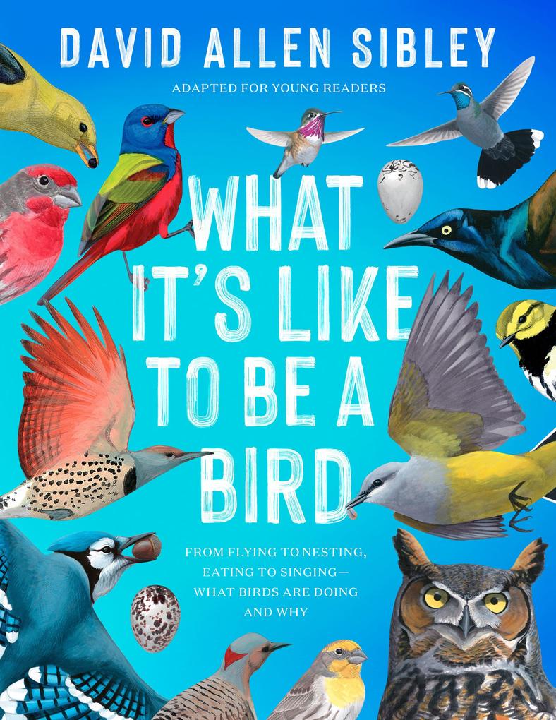 What It‘s Like to Be a Bird (Adapted for Young Readers)