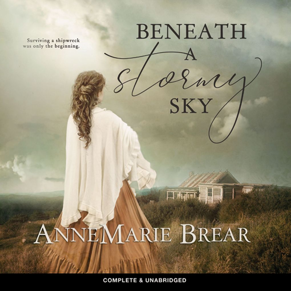 Beneath a Stormy Sky