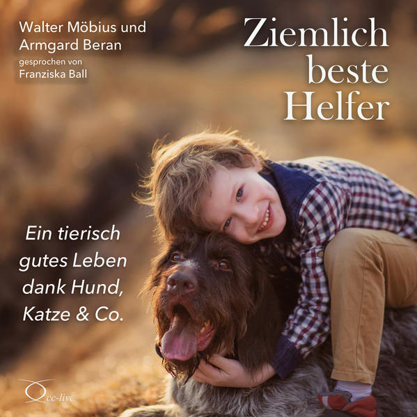 Ziemlich beste Helfer 3 Audio-CD