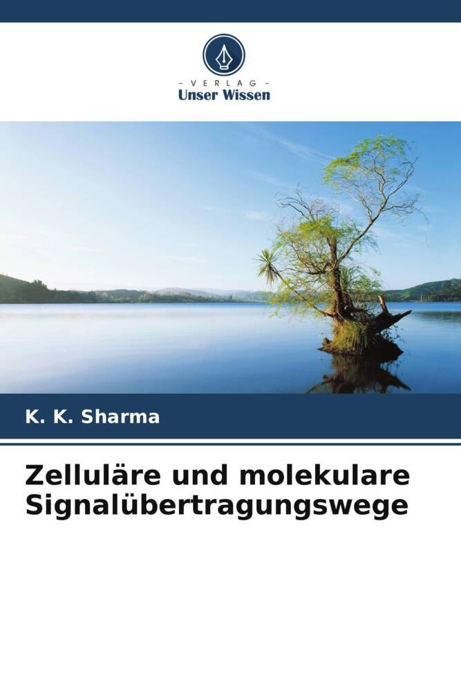 Zelluläre und molekulare Signalübertragungswege