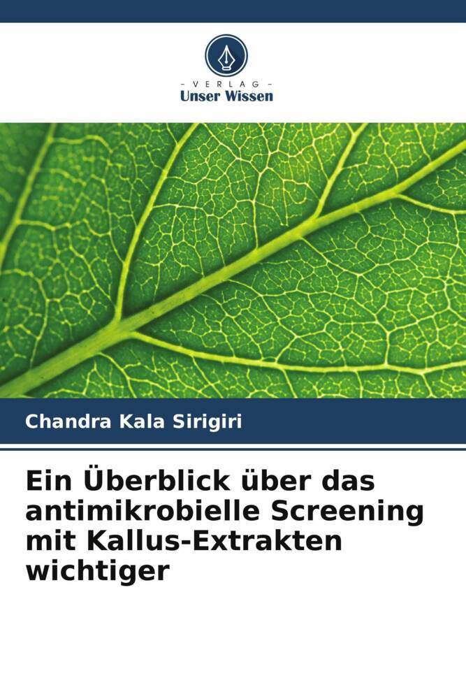 Ein Überblick über das antimikrobielle Screening mit Kallus-Extrakten wichtiger