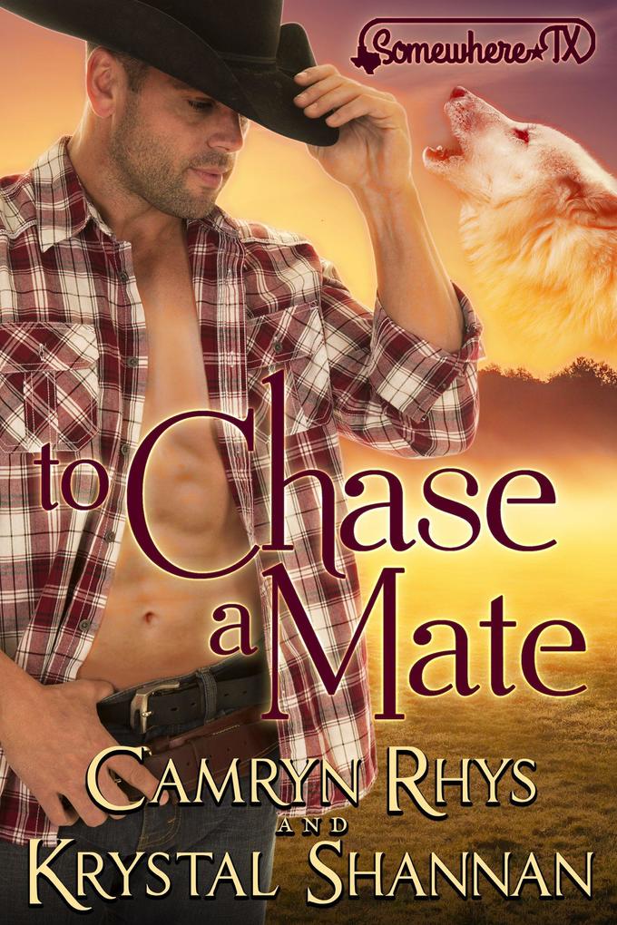 To Chase A Mate (VonBrandt Wolf Pack #4)