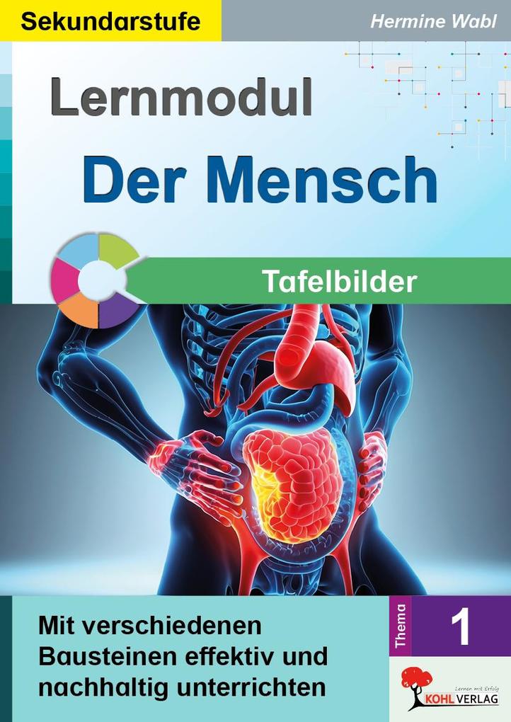 Lernmodul 1: Der Mensch / Tafelbilder