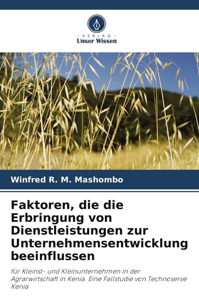 Faktoren die die Erbringung von Dienstleistungen zur Unternehmensentwicklung beeinflussen