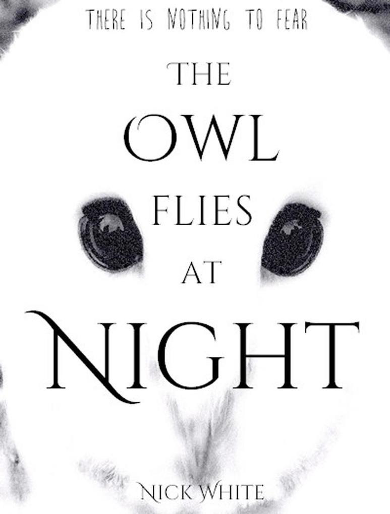 The Owl Flies at Night