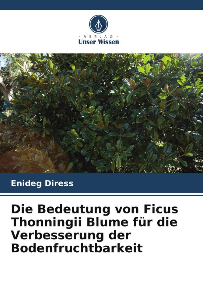 Die Bedeutung von Ficus Thonningii Blume für die Verbesserung der Bodenfruchtbarkeit