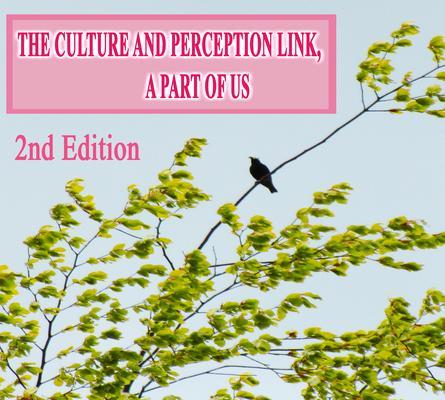The Culture and Perception Link