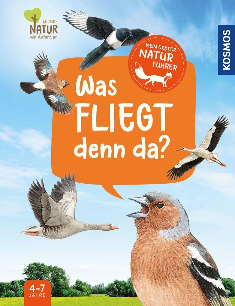 Image of Mein erster Naturführer Was fliegt denn da?