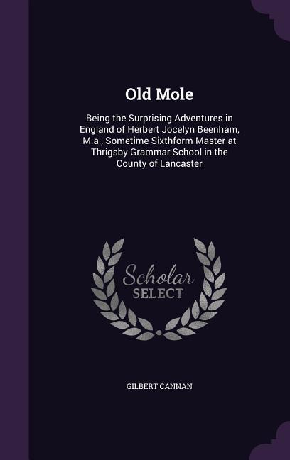 Old Mole: Being the Surprising Adventures in England of Herbert Jocelyn Beenham M.a. Sometime Sixthform Master at Thrigsby Gra