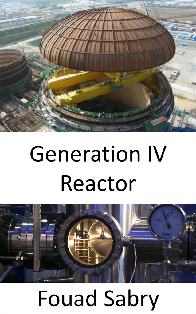 Generation IV Reactor